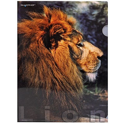Папка-уголок "Lion" Формат А4 31 см х 22 см инфо 1013b.