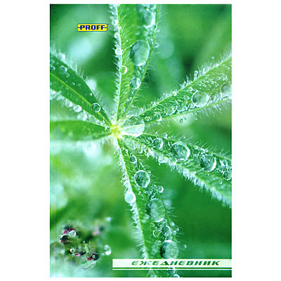 Ежедневник "Proff-Растение", 320 стр Цвет: зеленый Количество страниц: 320 инфо 1404b.